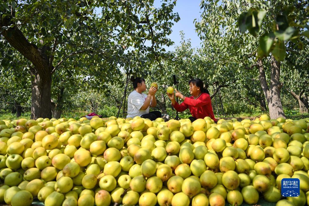 菠菜游戏源码